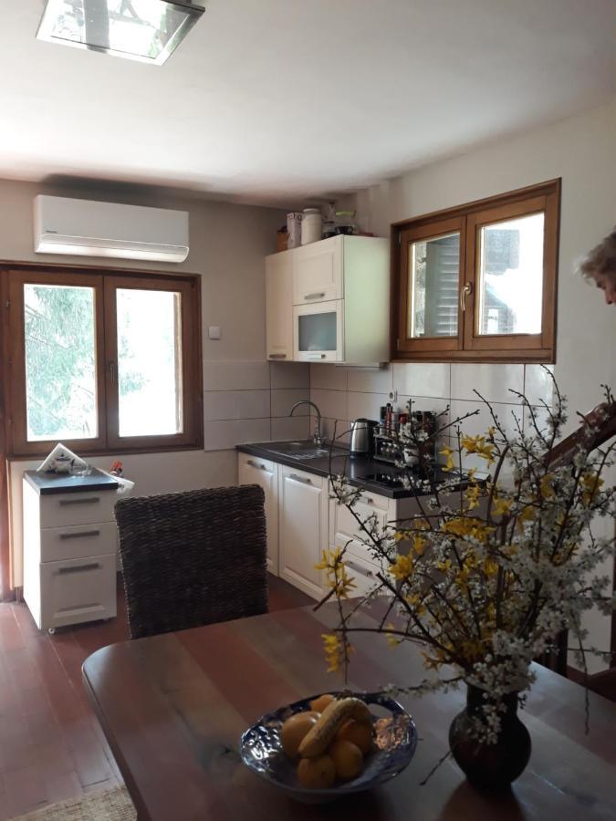 Holiday Home Dragonfly River House On Korana Near Plitvice And Mreznica Barilovic Exterior photo