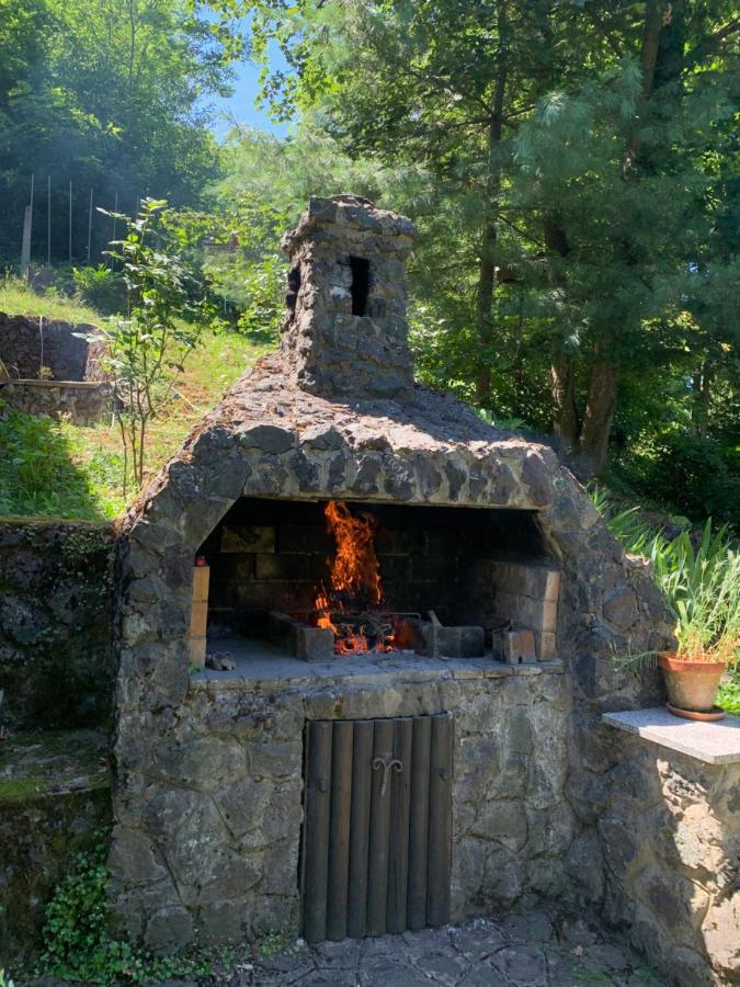 Holiday Home Dragonfly River House On Korana Near Plitvice And Mreznica Barilovic Exterior photo